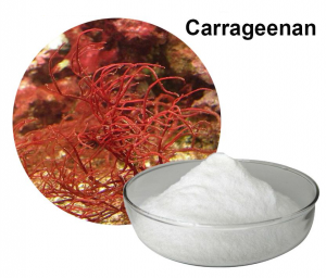 Carrageenan: The Ideal Gelatin Replacement in Vegan Gummy Candy