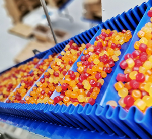 Inside The Gummy Production Line